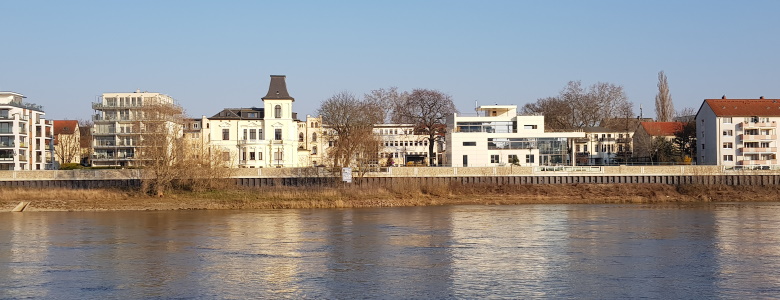 Blick auf den Werder vor einigen Tagen
