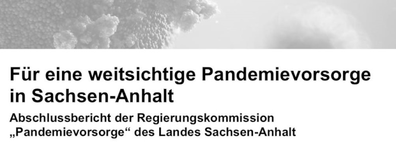 Teil des Titelblattes des Abschlussberichtes zur Pandemievorsorge