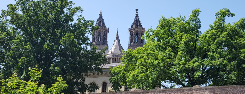 Blick auf den Magdeburger Dom, vom Schleinufer aus